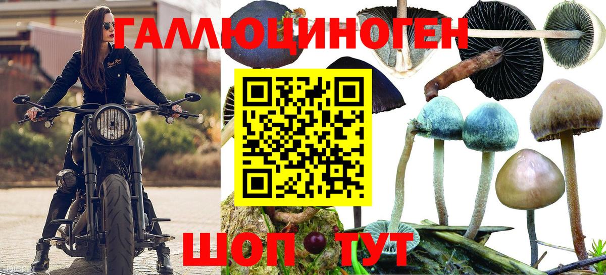 купить наркотик  Галлюциногенные грибы мухоморы  Кропоткин  Вход с VPN  Псилоцибиновые грибы Cubensis 