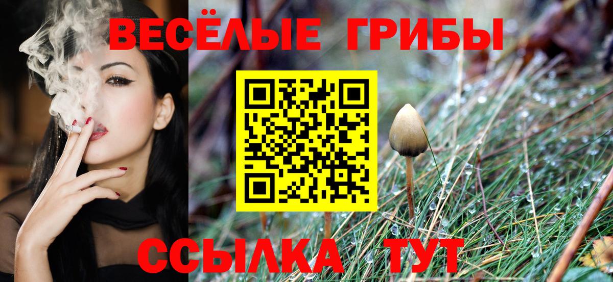 Псилоцибиновые грибы Magic Shrooms Кропоткин